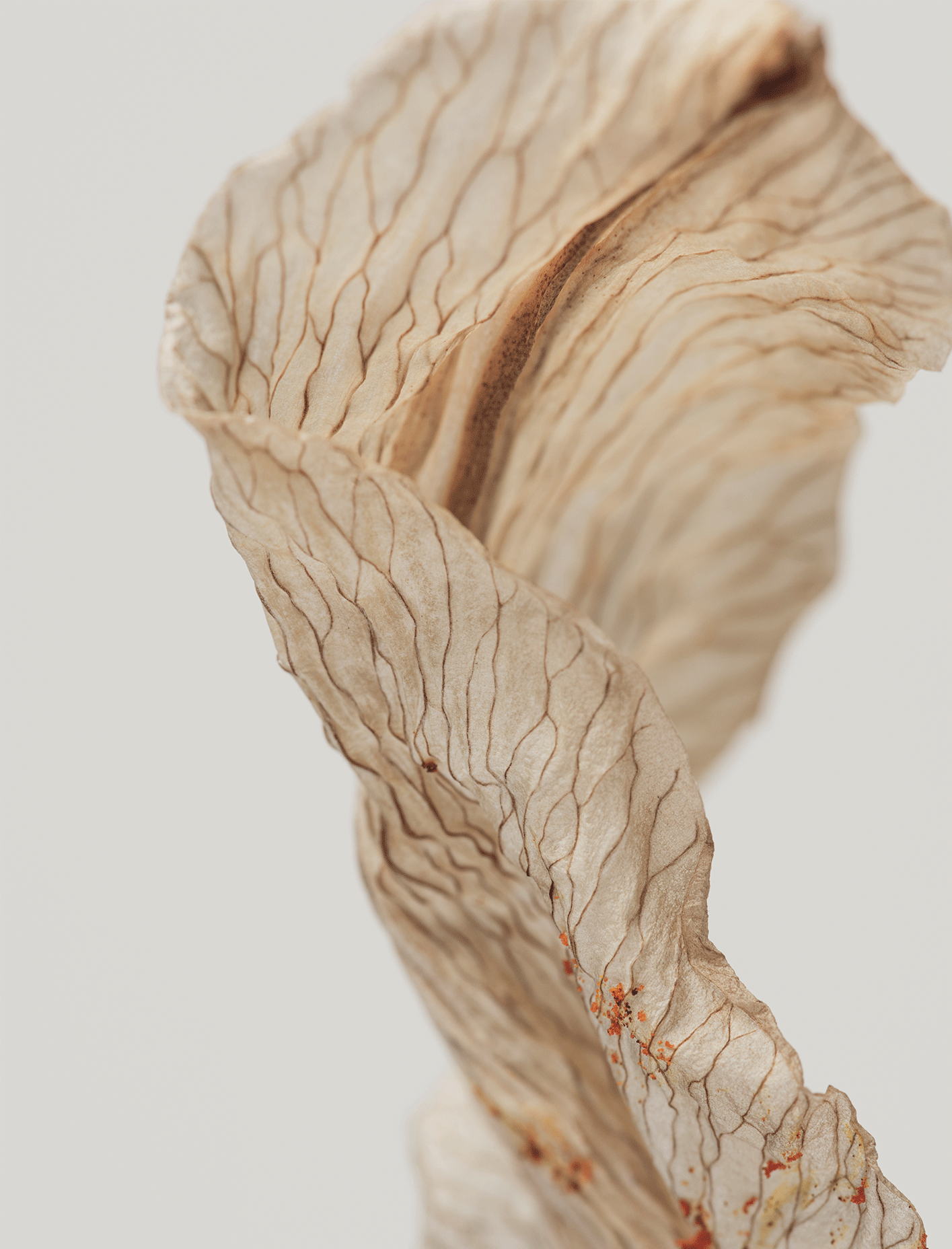 CMMindfulness - Claudia Malvicini Mindfulness Majadahonda, Madrid. Presencial y online.